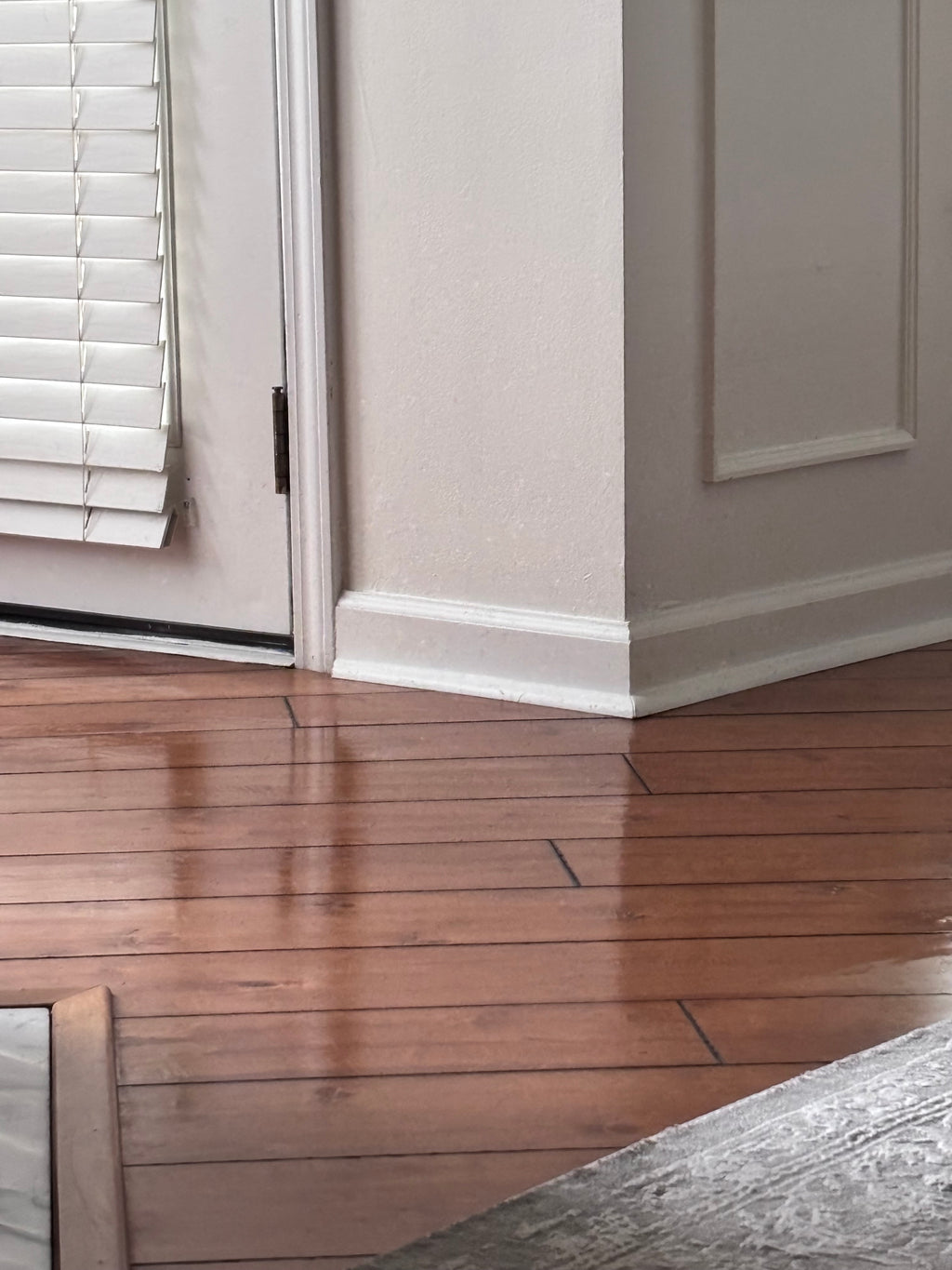 Bed, Main Area Dusting & Floors